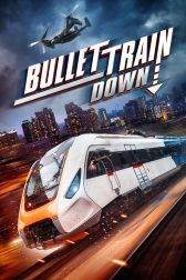 دانلود فیلم Bullet Train Down 2022