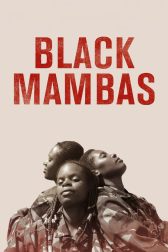 دانلود فیلم Black Mambas 2022