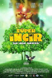 دانلود فیلم Süper Incir 2013