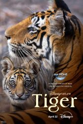 دانلود فیلم Tiger 2024