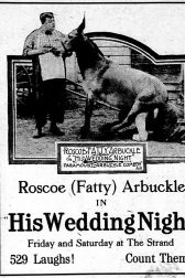 دانلود فیلم His Wedding Night 1917