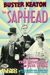 دانلود فیلم The Saphead 1920