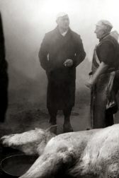 دانلود فیلم Le sang des bêtes 1949
