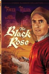 دانلود فیلم The Black Rose 1950