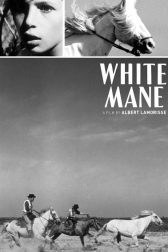 دانلود فیلم White Mane 1953