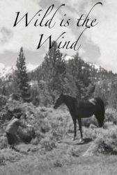 دانلود فیلم Wild Is the Wind 1957