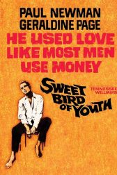 دانلود فیلم Sweet Bird of Youth 1962