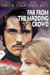 دانلود فیلم Far from the Madding Crowd 1967