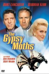 دانلود فیلم The Gypsy Moths 1969