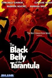 دانلود فیلم Black Belly of the Tarantula 1971