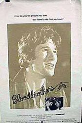 دانلود فیلم Bloodbrothers 1978