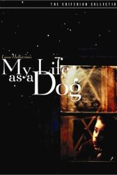 دانلود فیلم My Life as a Dog 1985