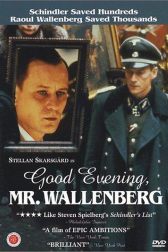 دانلود فیلم Good Evening, Mr. Wallenberg 1990