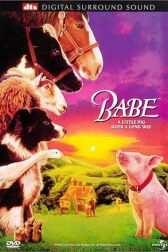 دانلود فیلم Babe 1995