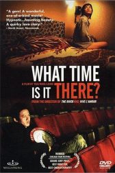 دانلود فیلم What Time Is It There? 2001