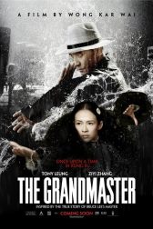 دانلود فیلم The Grandmaster 2013