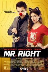 دانلود فیلم Mr. Right 2015