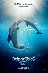 دانلود فیلم Dolphin Tale 2 2014