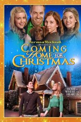 دانلود فیلم Coming Home for Christmas 2013