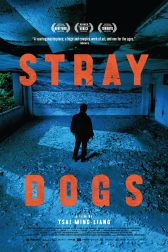 دانلود فیلم Stray Dogs 2013