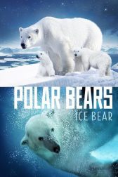 دانلود فیلم Polar Bears: Ice Bear 2013