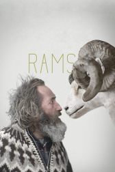 دانلود فیلم Rams 2015