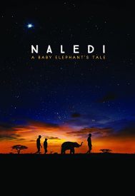 دانلود فیلم Naledi: A Baby Elephants Tale 2016