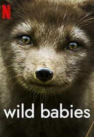 دانلود سریال Wild Babies 2022–