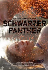 دانلود فیلم Schwarzer Panther 2014