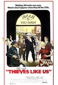 دانلود فیلم Thieves Like Us 1974