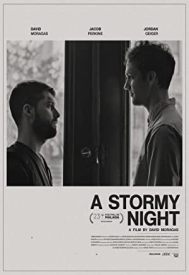 دانلود فیلم A Stormy Night 2020