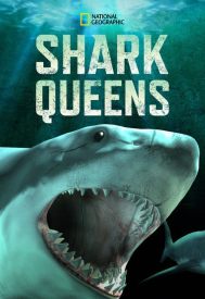 دانلود فیلم Shark Queens 2022