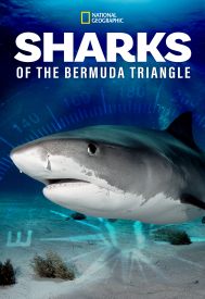 دانلود فیلم Sharks of the Bermuda Triangle 2020