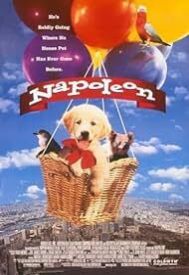 دانلود فیلم Napoleon 1995