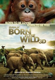 دانلود فیلم Born to Be Wild 2011