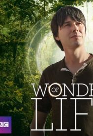 دانلود سریال Wonders of Life -2013