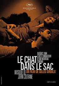 دانلود فیلم The Cat in the Bag 1964