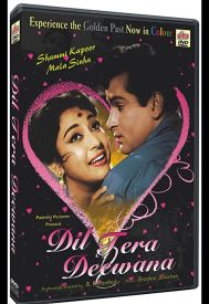 دانلود فیلم Dil Tera Diwana 1962