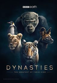دانلود سریال Dynasties 2018