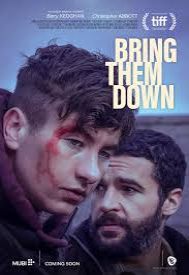 دانلود فیلم Bring Them Down 2024