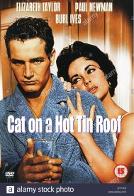 دانلود فیلم Cat on a Hot Tin Roof 1958