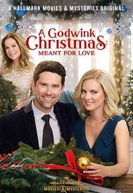دانلود فیلم A Godwink Christmas: Meant for Love 2019