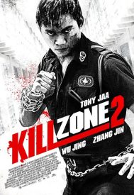 دانلود فیلم Kill Zone 2 2015