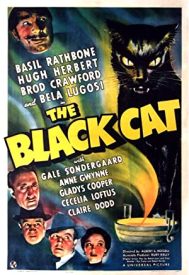 دانلود فیلم The Black Cat 1941