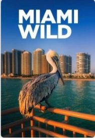 دانلود فیلم Miami Wild 2022