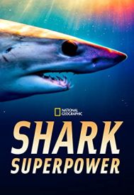 دانلود فیلم Shark Superpower 2022