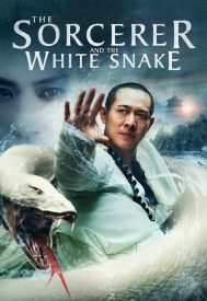 دانلود فیلم The Sorcerer and the White Snake 2011