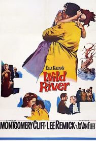 دانلود فیلم Wild River 1960