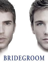 دانلود فیلم Bridegroom 2013