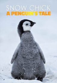 دانلود فیلم Snow Chick: A Penguin’s Tale 2015